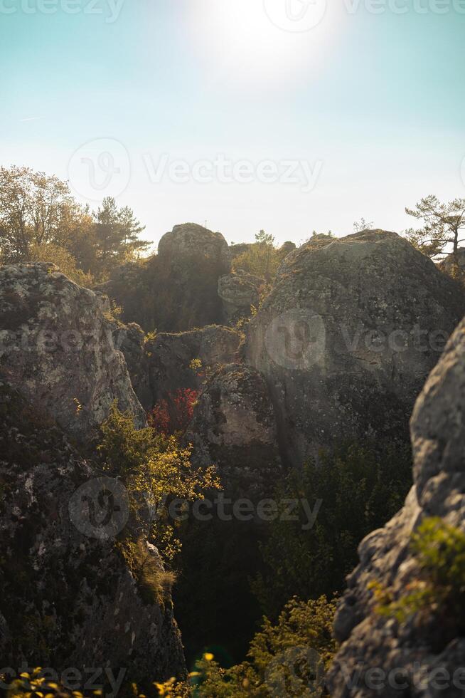 A rocky hillside with trees atop, displaying terrestrial plants and mountainous formations under the sky, presenting a natural landscape photo
