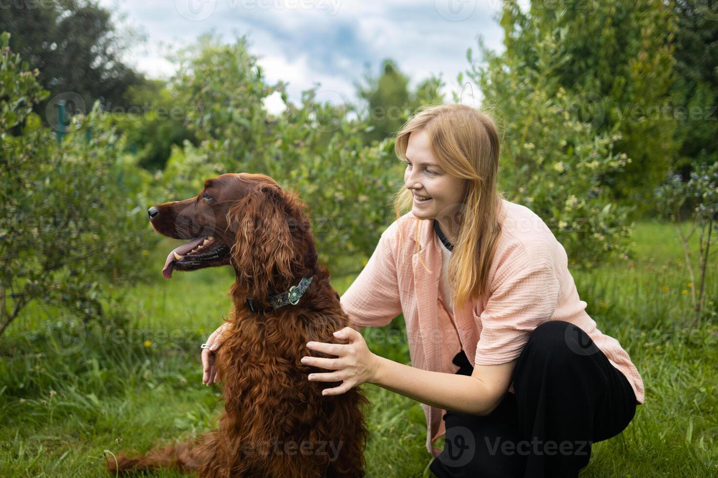 Attractive young woman with Irish setter dog outdoors. Woman on a green grass with dog photo