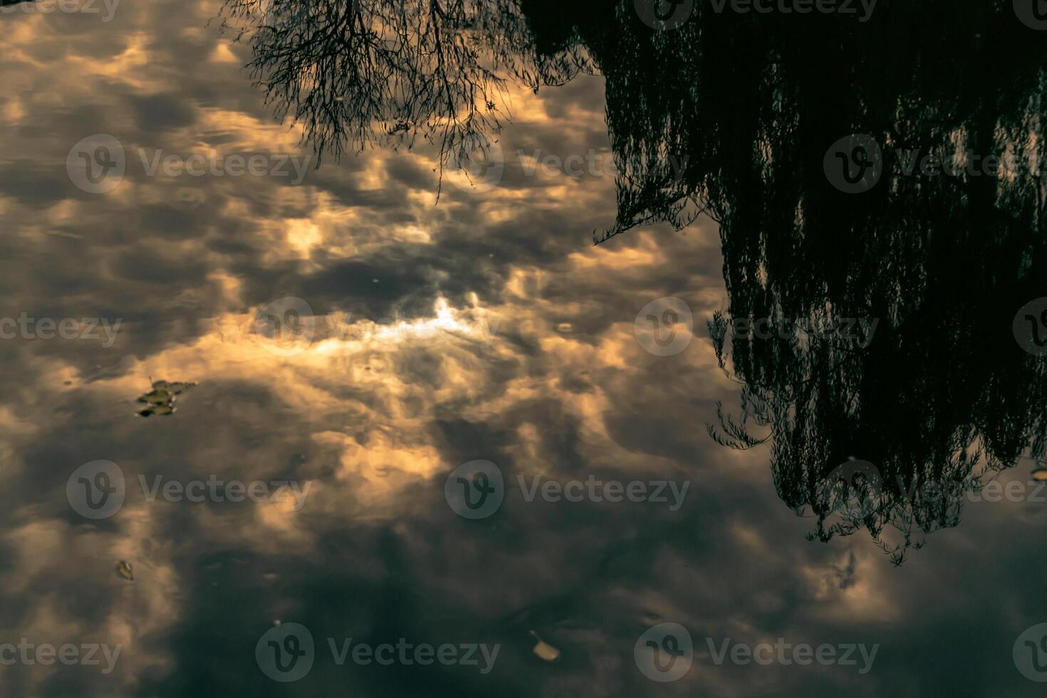 Close-up of a dead leaf on a river. Clouds reflecting on the surface of a river photo