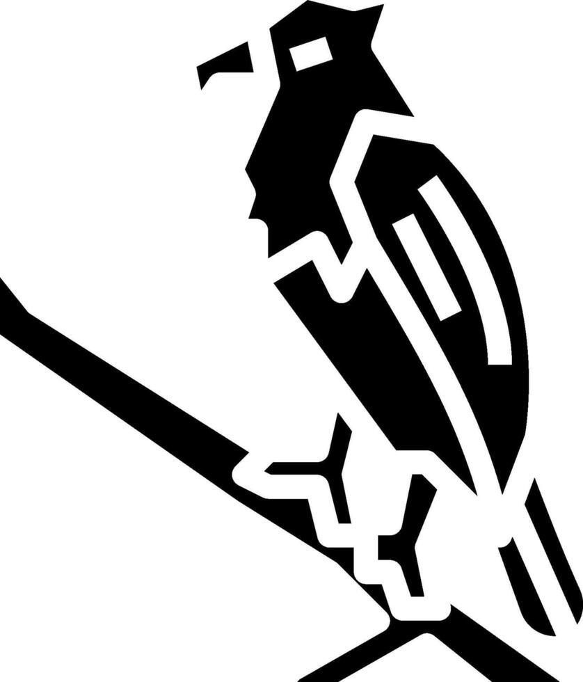 A black and white bird perched on a branch vector