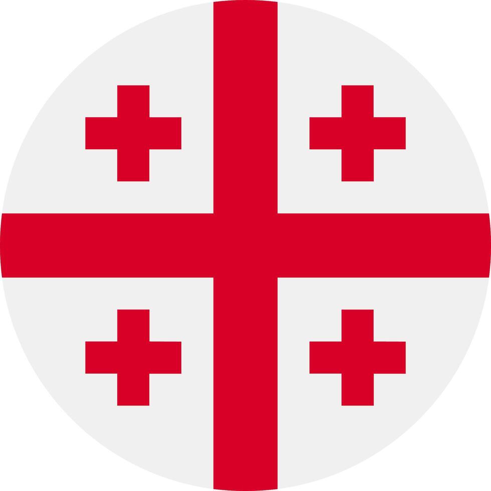 The flag of georgia vector