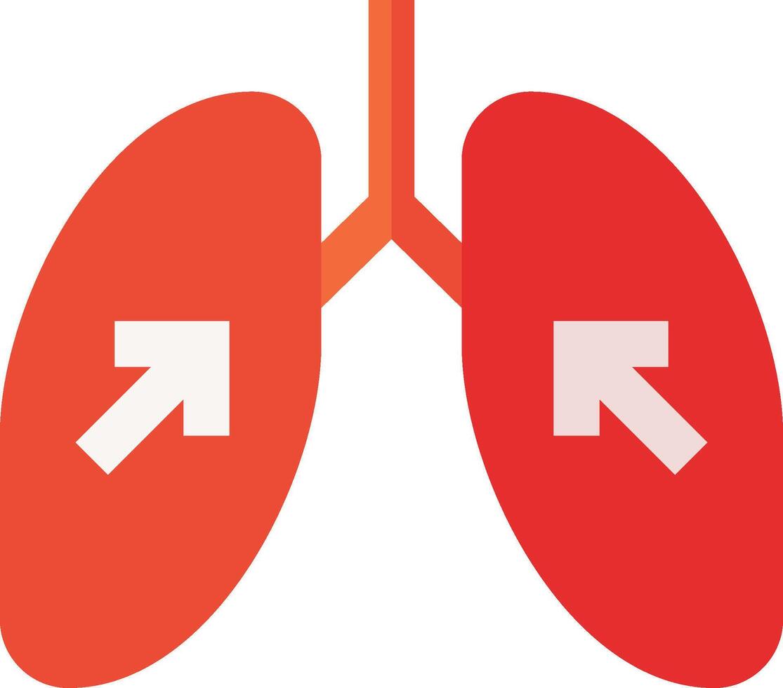 The lungs are shown with arrows pointing to the right vector