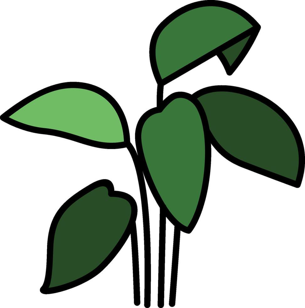 A plant with leaves on it is shown vector
