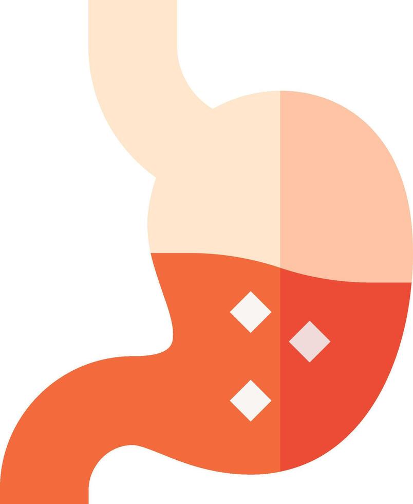 An illustration of the stomach and the stomach vector
