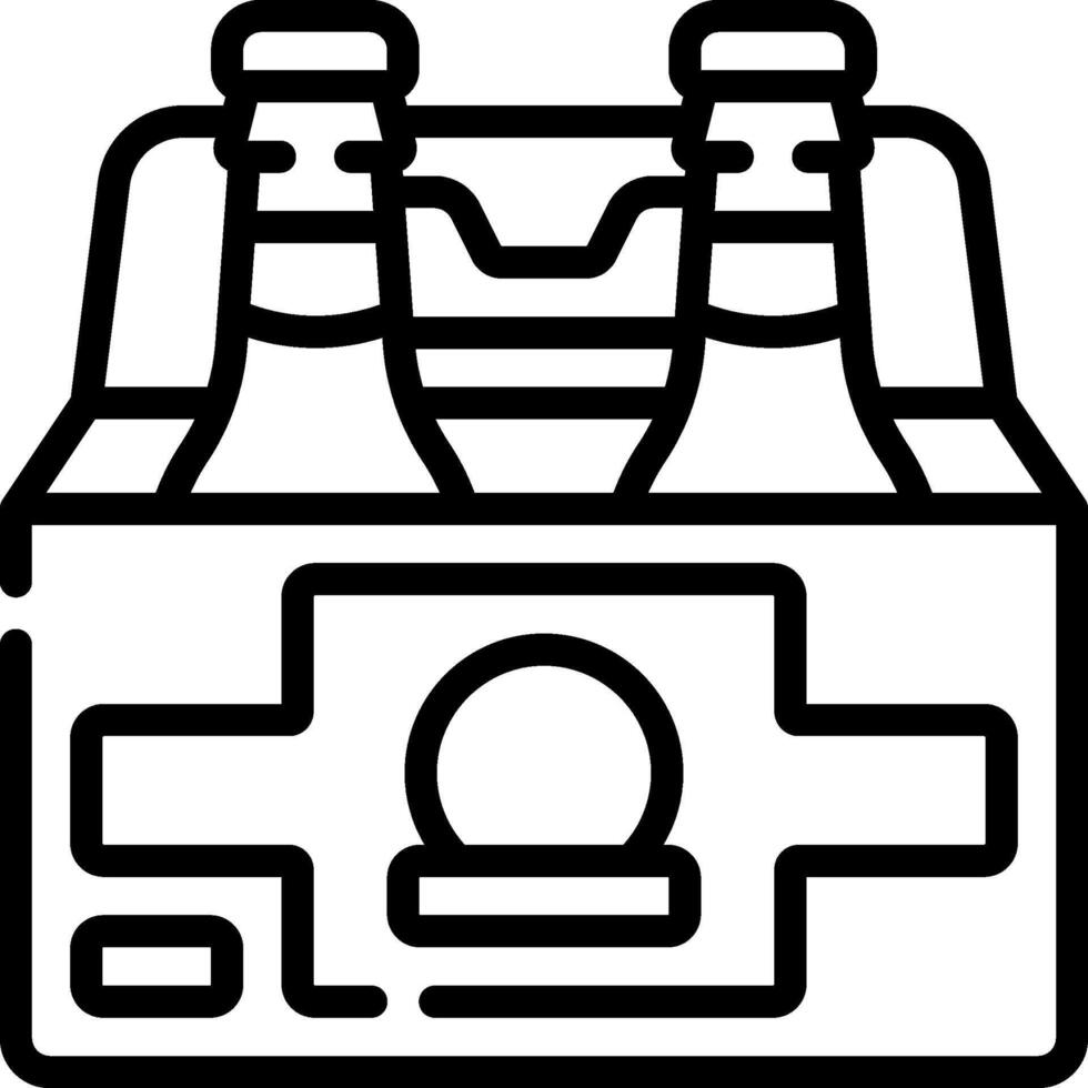 Beer bottles in a box icon vector