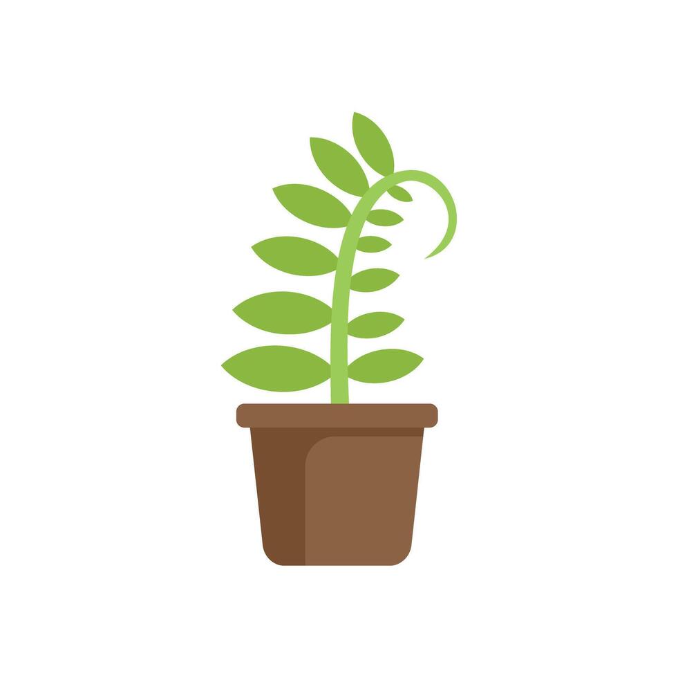 Green plant growing in a pot with simple style design vector