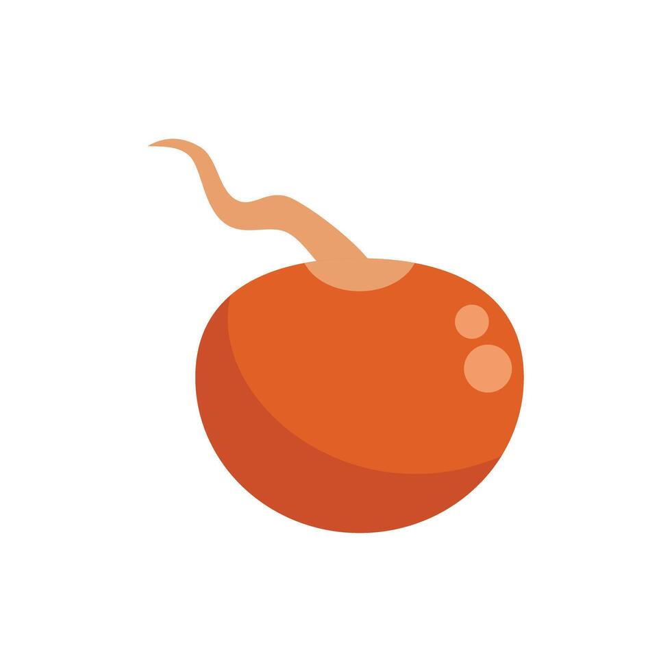 Ripe round radish with sprout growing upwards vector illustration