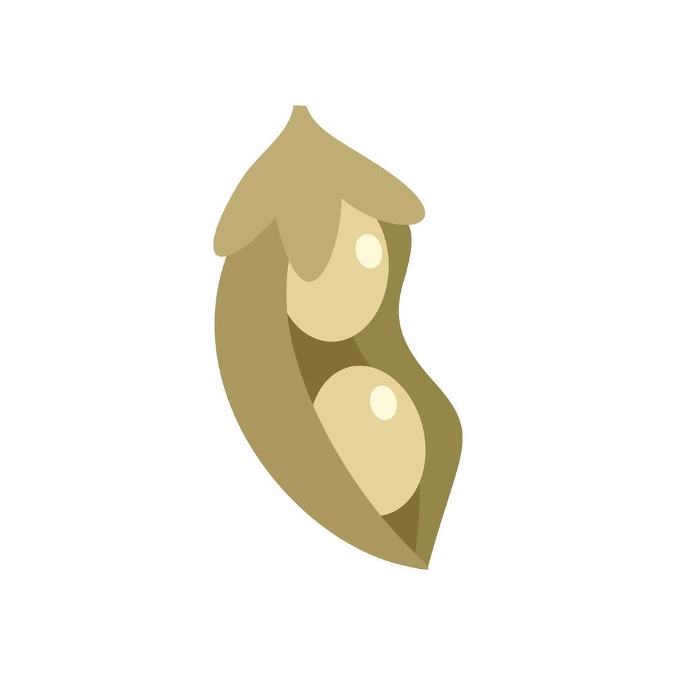 Open pea pod showing seeds inside growing vector