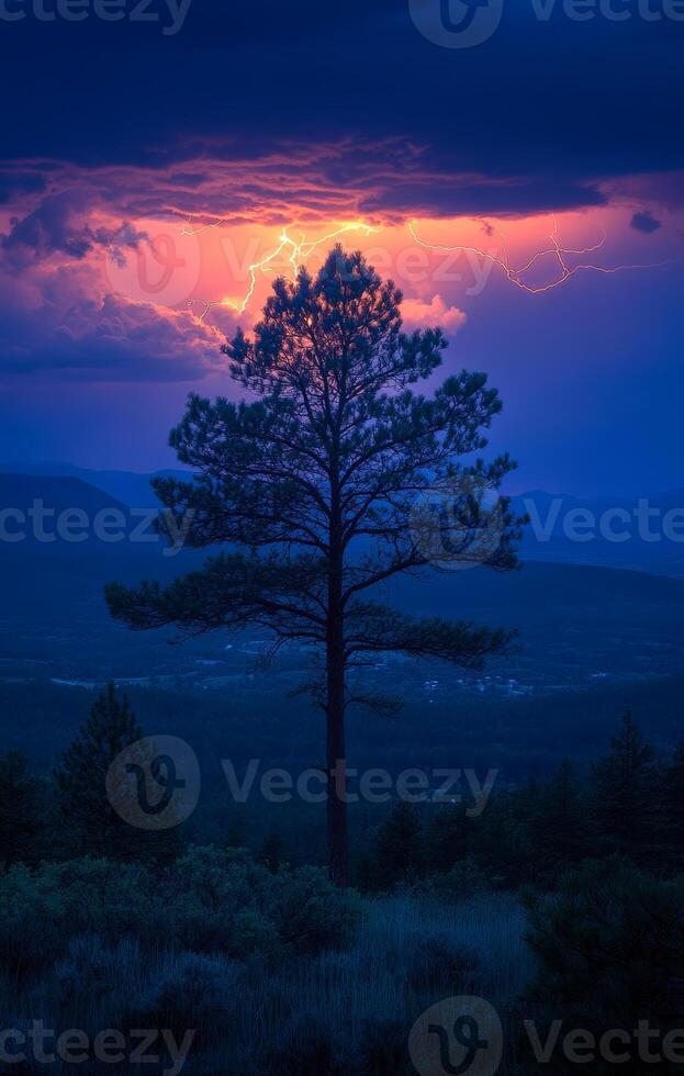 A tree is silhouetted against a dark sky with a bright lightning bolt. The sky is filled with clouds and the tree is the only object visible. Scene is serene and peaceful, with the tree standing tall photo