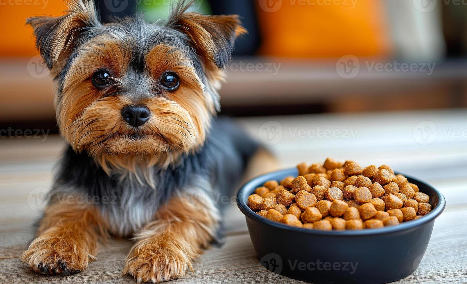 A small dog is laying on the floor next to a bowl of food. The dog appears to be looking at the camera with a curious expression photo