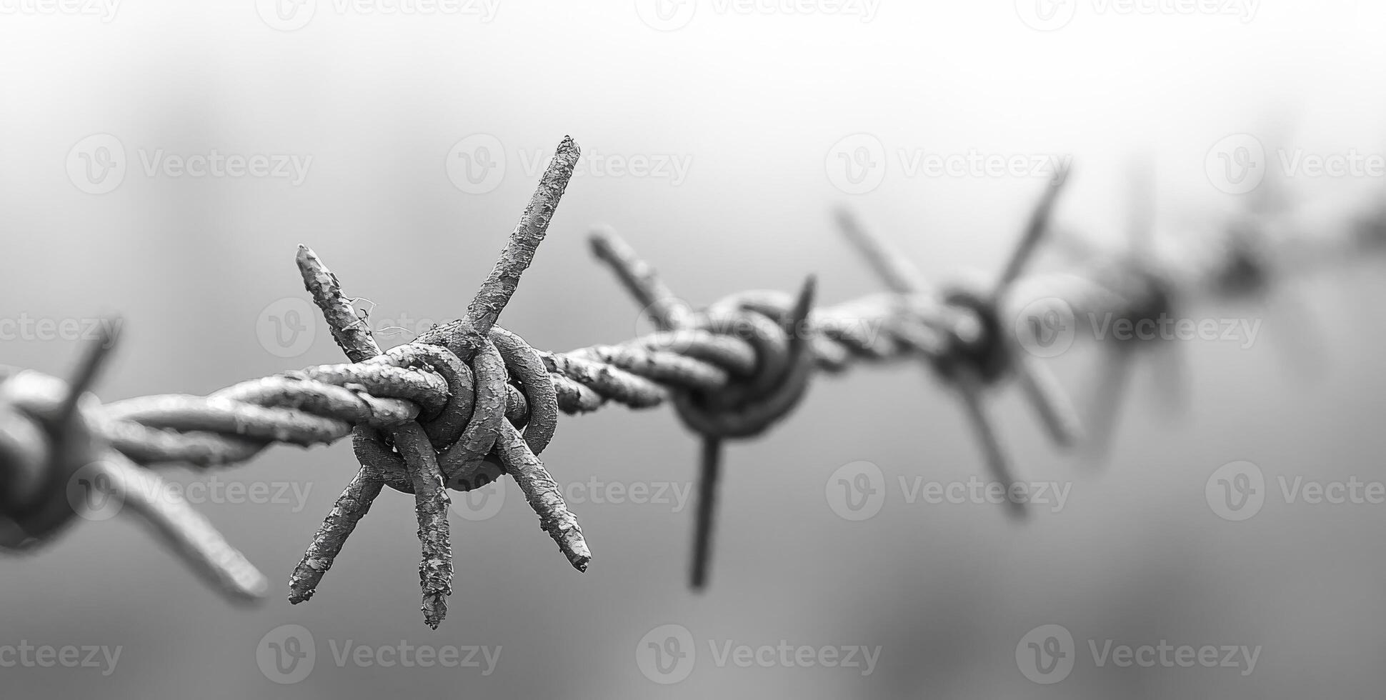Barbed wire fence close-up with blurred background. A close-up view of rusted barbed wire against a soft, blurred backdrop, highlighting the intricate twists and sharp points of the fence. photo