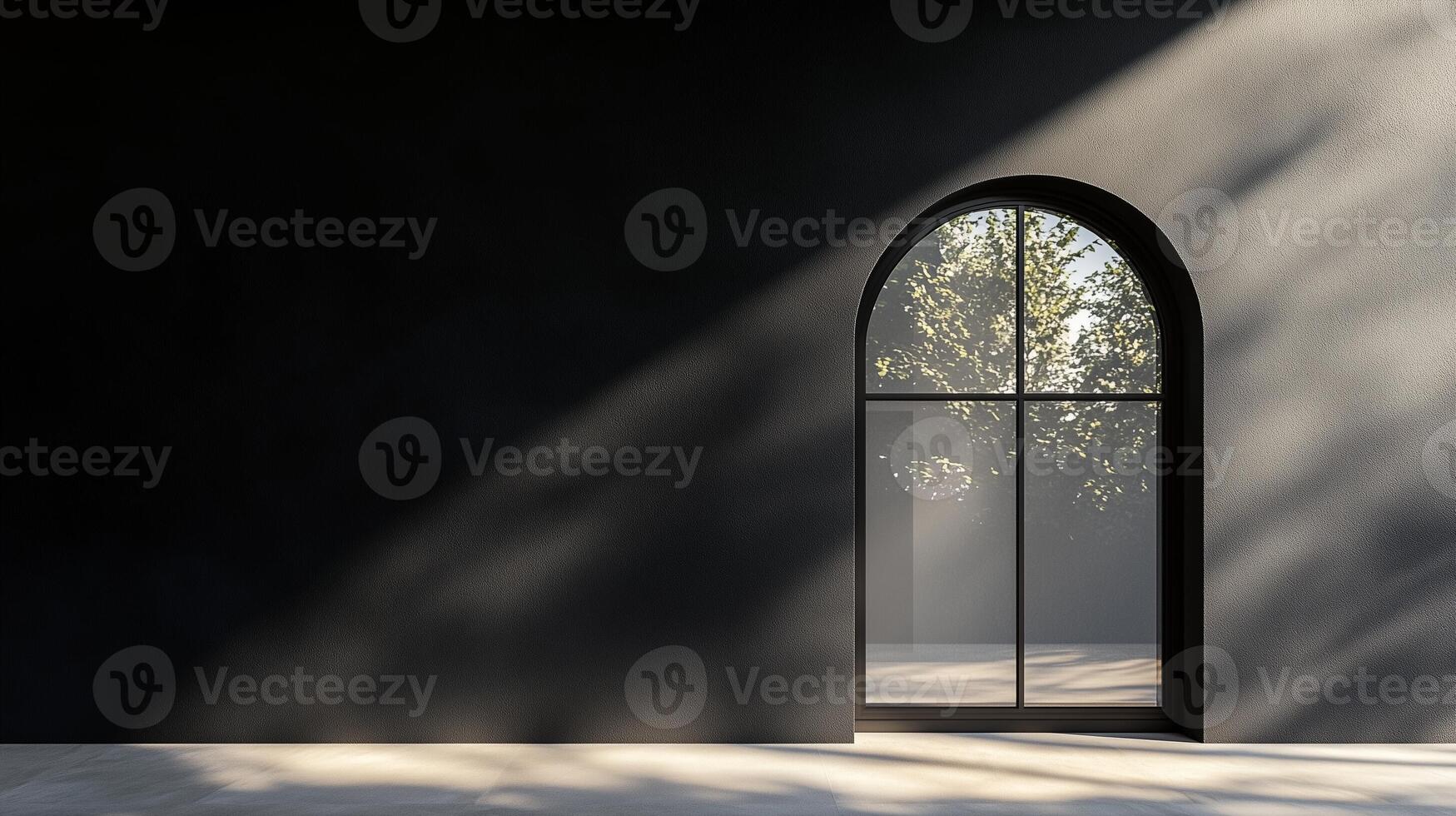 Aesthetic arch window shape on black wall with shadow leaves tree classing building architecture photo