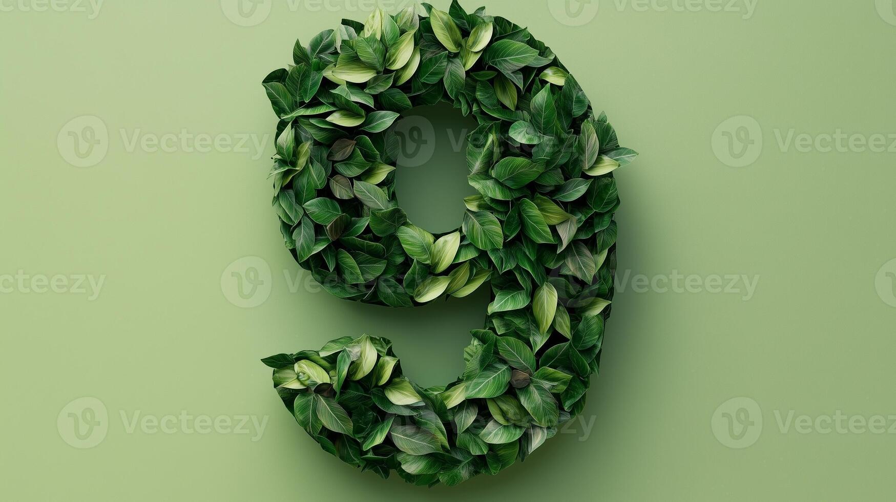 The number 9 is framed by a series of green leaves solid background photo