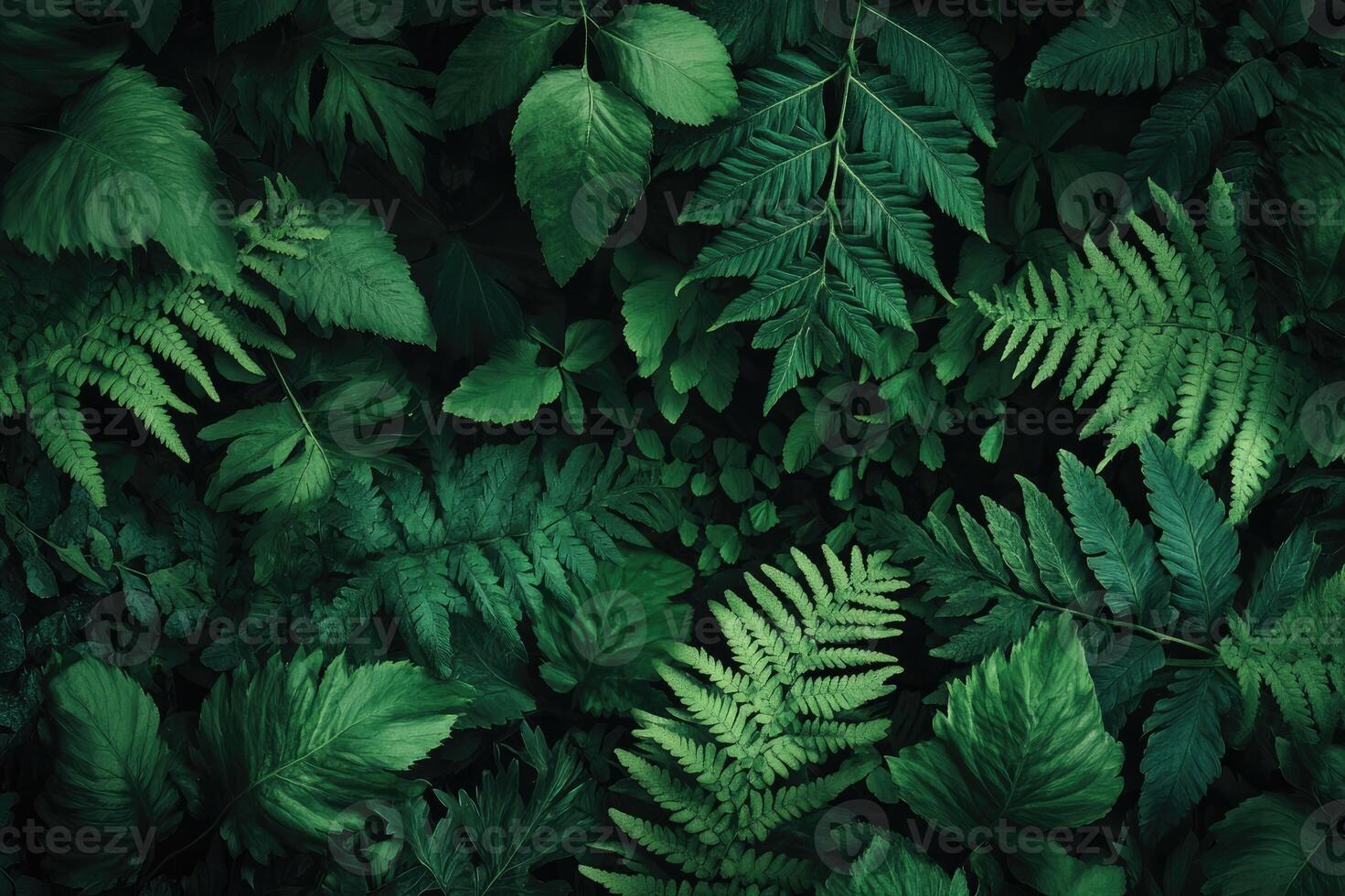 Abundance of fern and leaves creating tropical foliage background photo