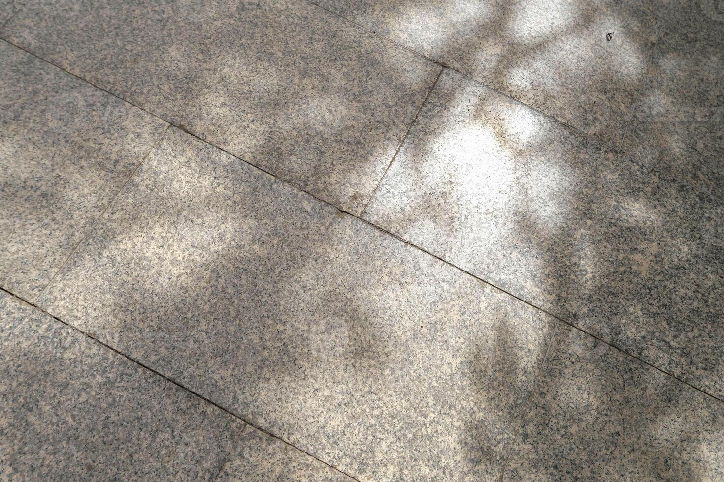 Tile with sunlight tree shadow. photo