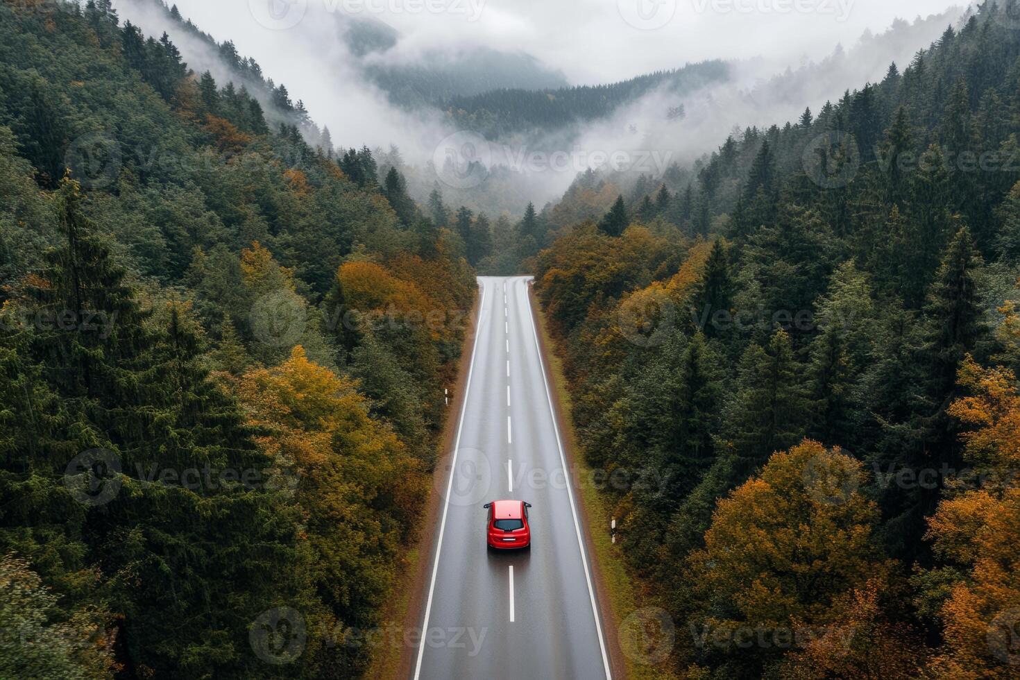 Car travels on an empty road surrounded by misty forests photo