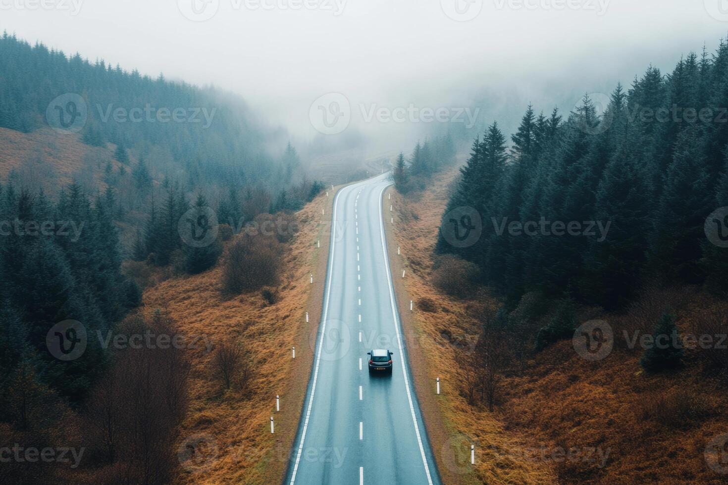 Car travels on an empty road surrounded by misty forests photo