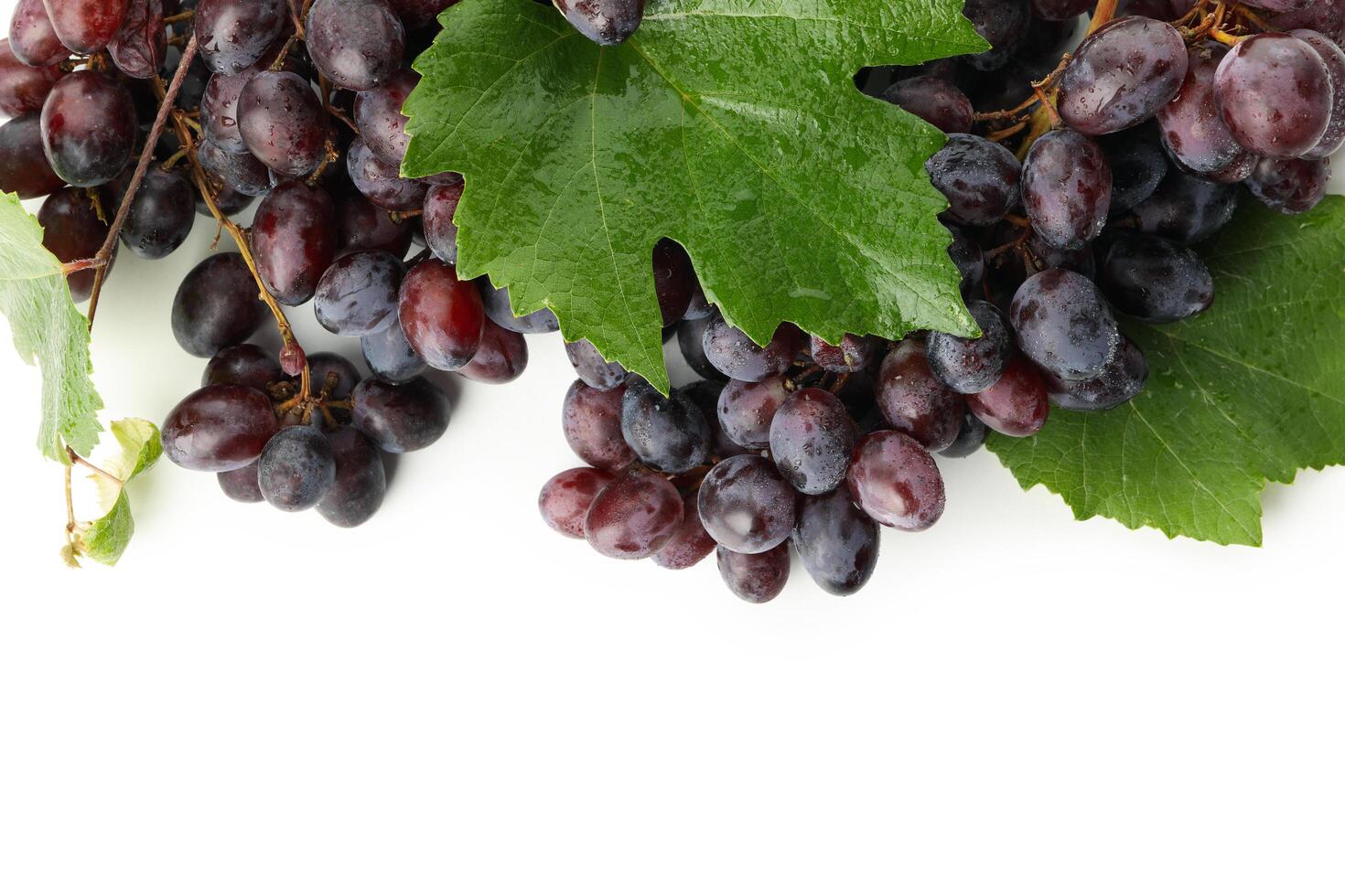 Ripe grape with leaves isolated on white background photo