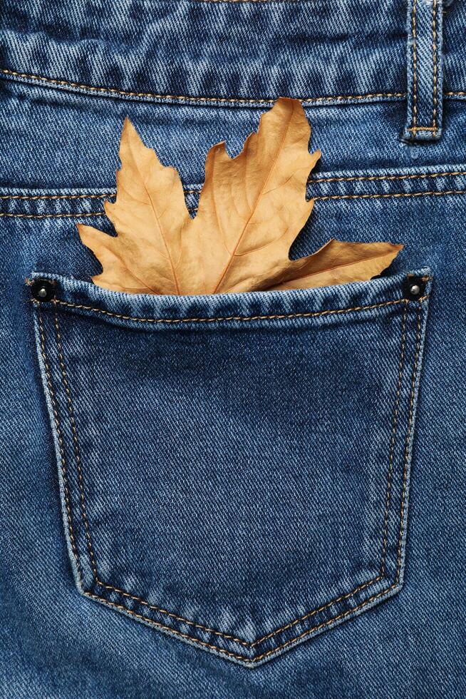 Back of jeans with leaf in pocket, space for text photo