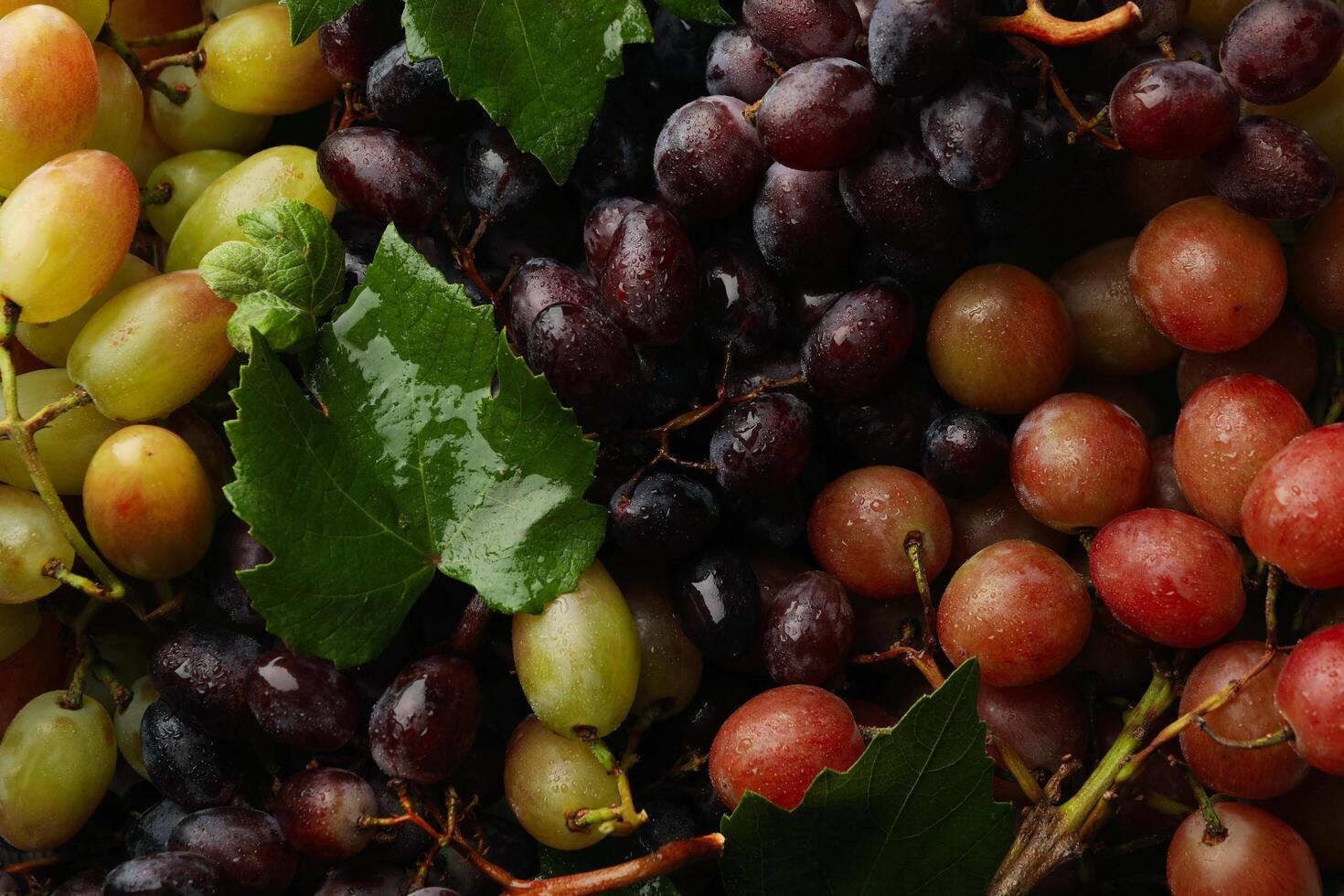 Fresh ripe grape on whole background, close up photo