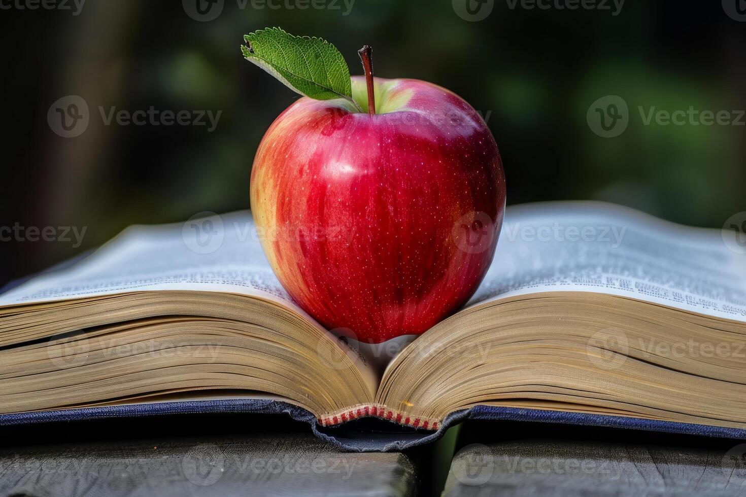 Red apple resting on open book symbolizing education photo
