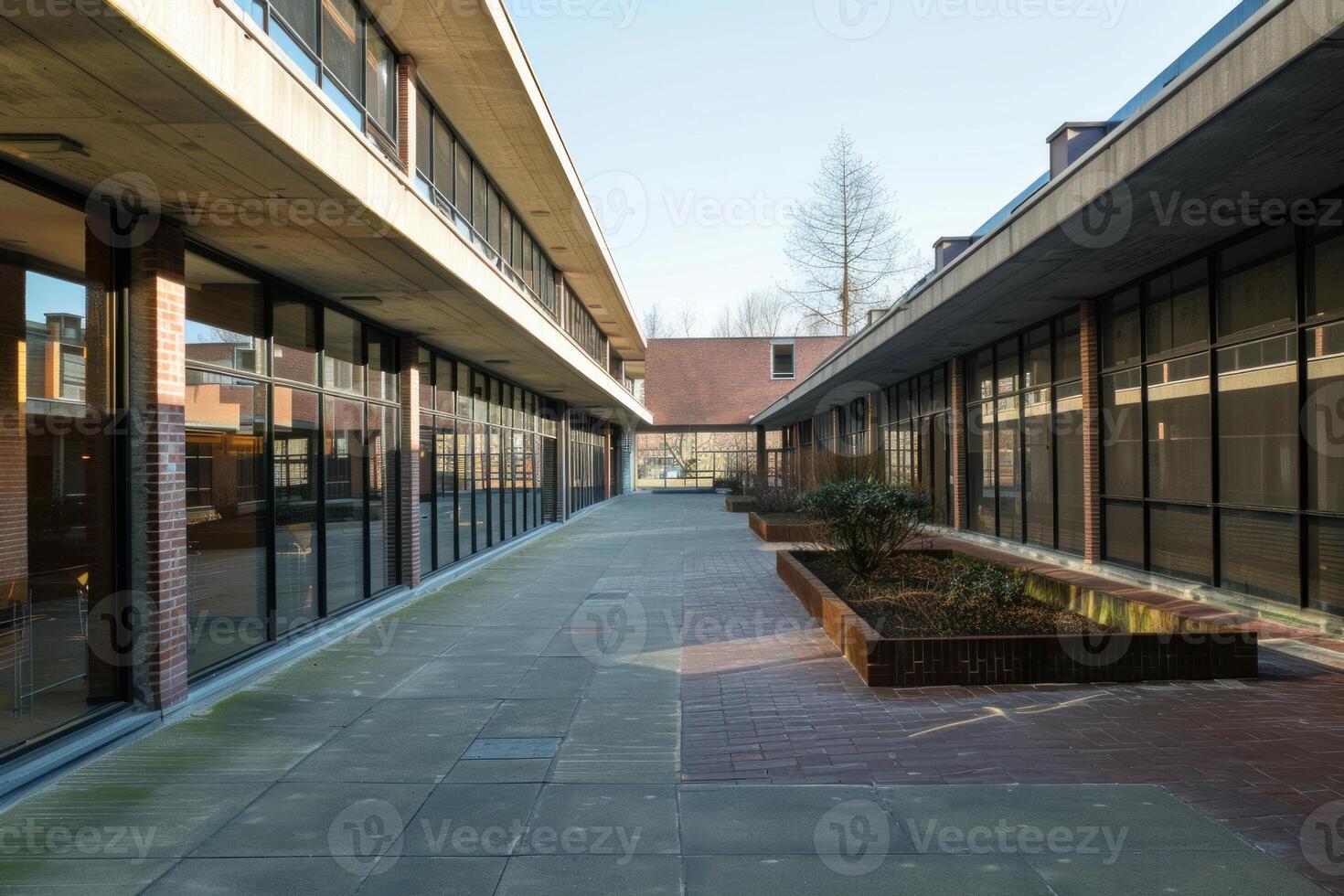 Empty courtyard of modern university building with glass facade photo