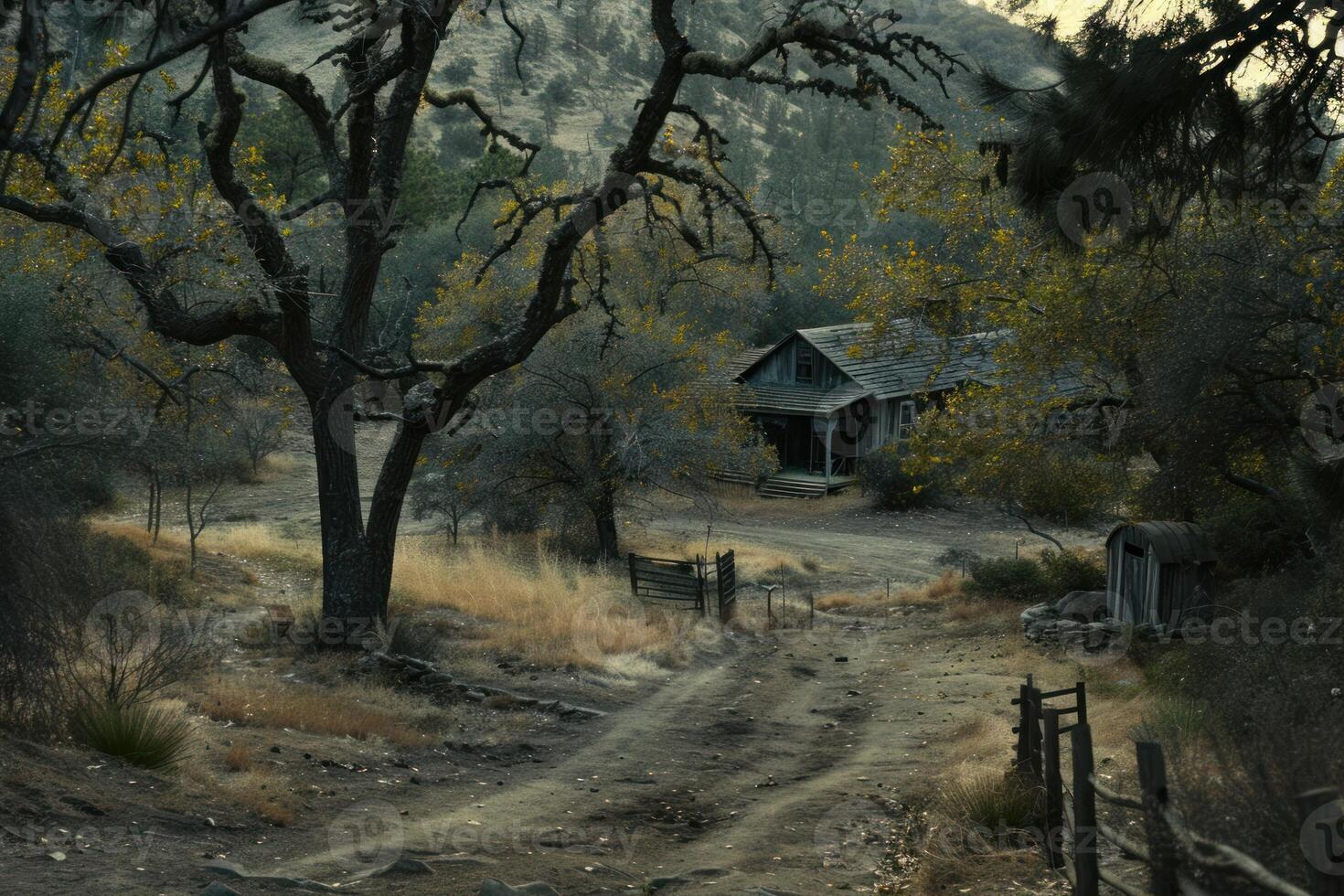 Dirt road leading to abandoned wooden house in arid landscape photo