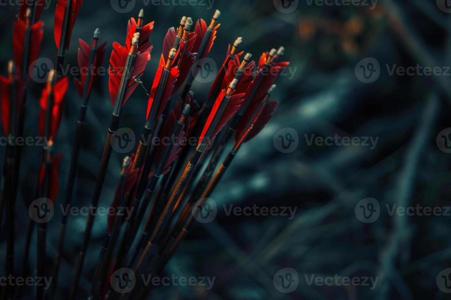 Quiver full of red feathered arrows standing upright photo