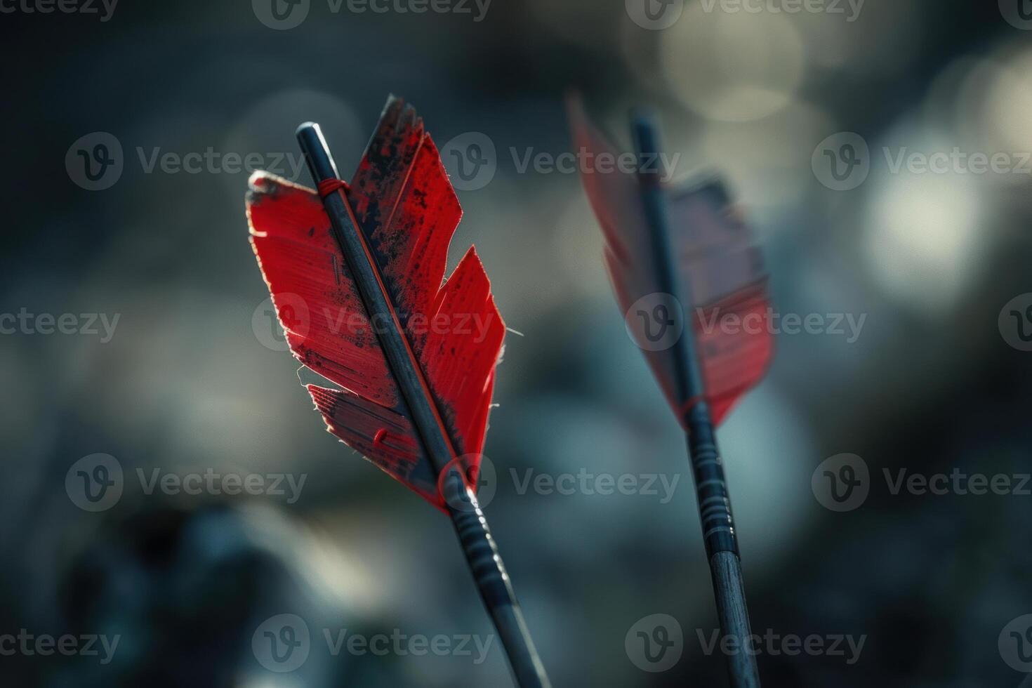 Two arrows with red feathers are showing hunting season photo