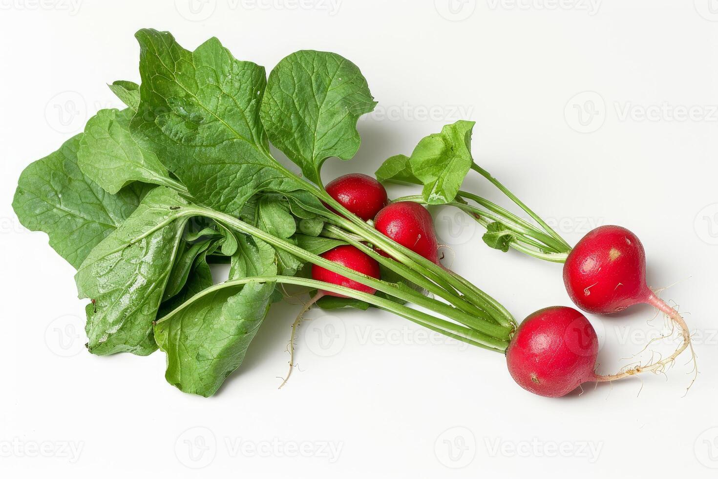 Freshly picked radishes with vibrant green leaves on white background photo