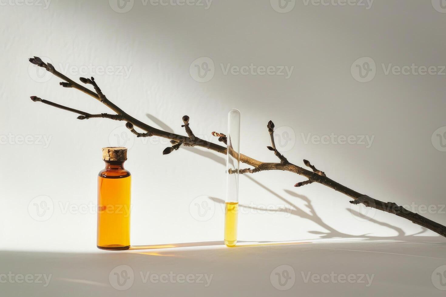 Essential oil extracting on white background with branch with buds photo