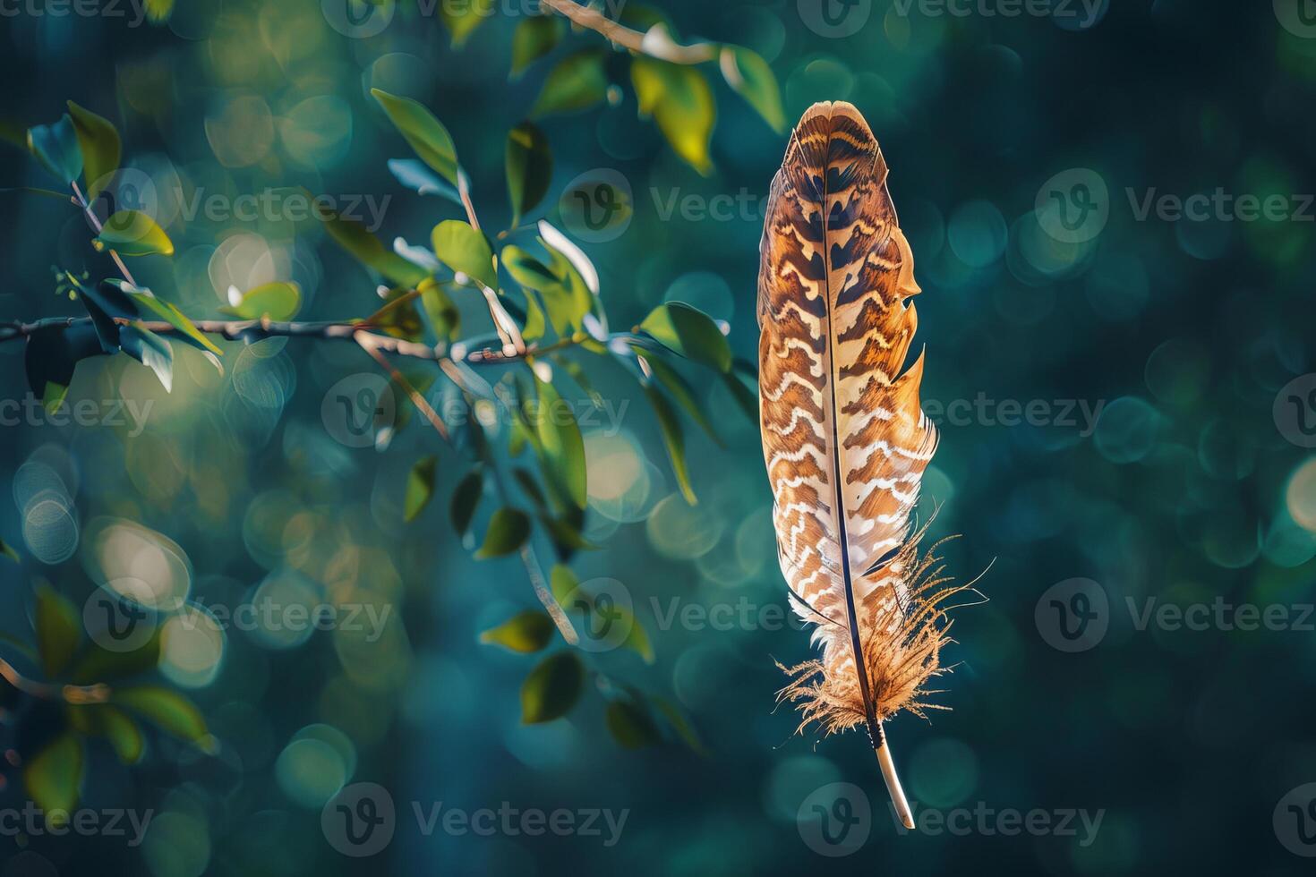Single feather hanging on branch with green bokeh background photo