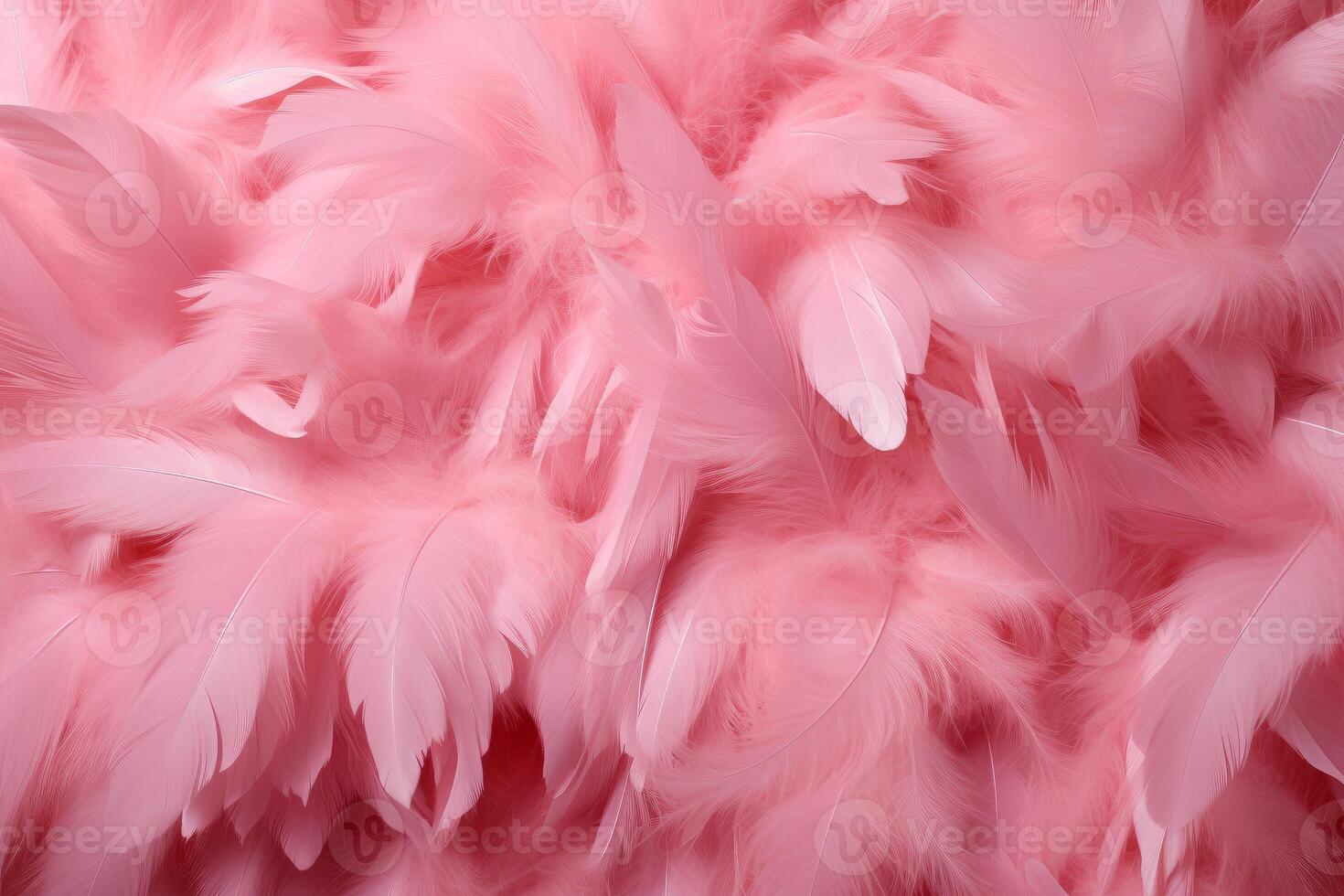 Soft pink feathers texture background photo