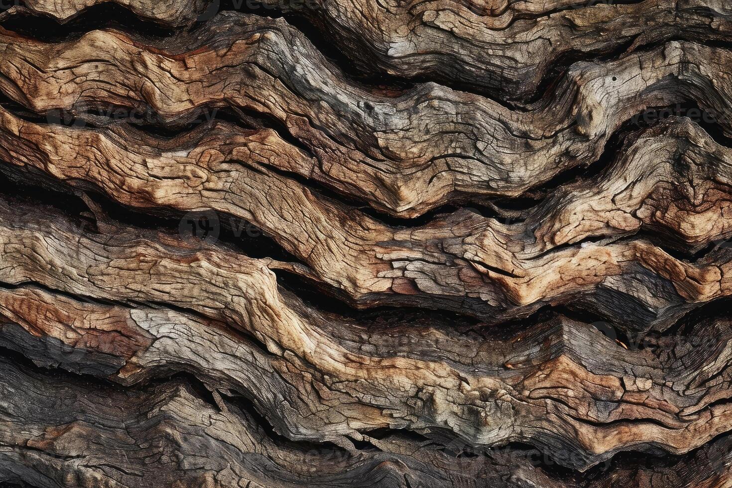 Close-up of layered wood patterns showcasing natural textures and colors photo