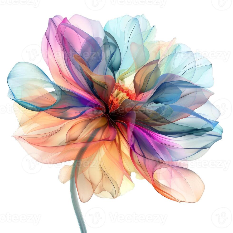Abstract flower blooming with vivid colors photo
