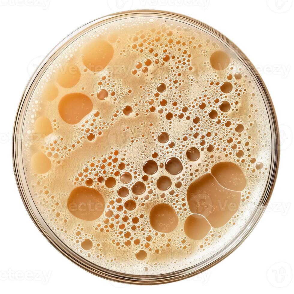 Overhead view of beer foam bubbles photo