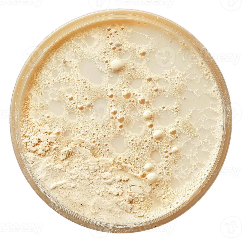 Sourdough starter bubbling in jar on white background photo