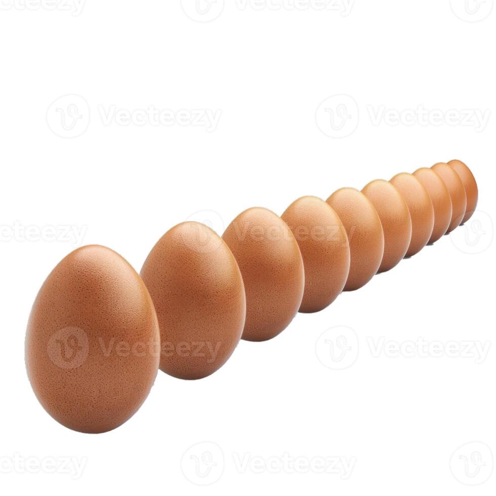 Row of brown chicken eggs decreasing in size photo