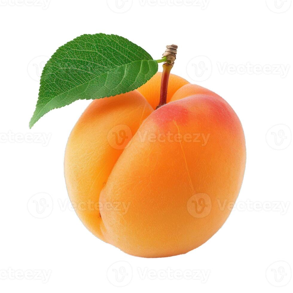 Ripe apricot fruit with leaf isolated on white background photo