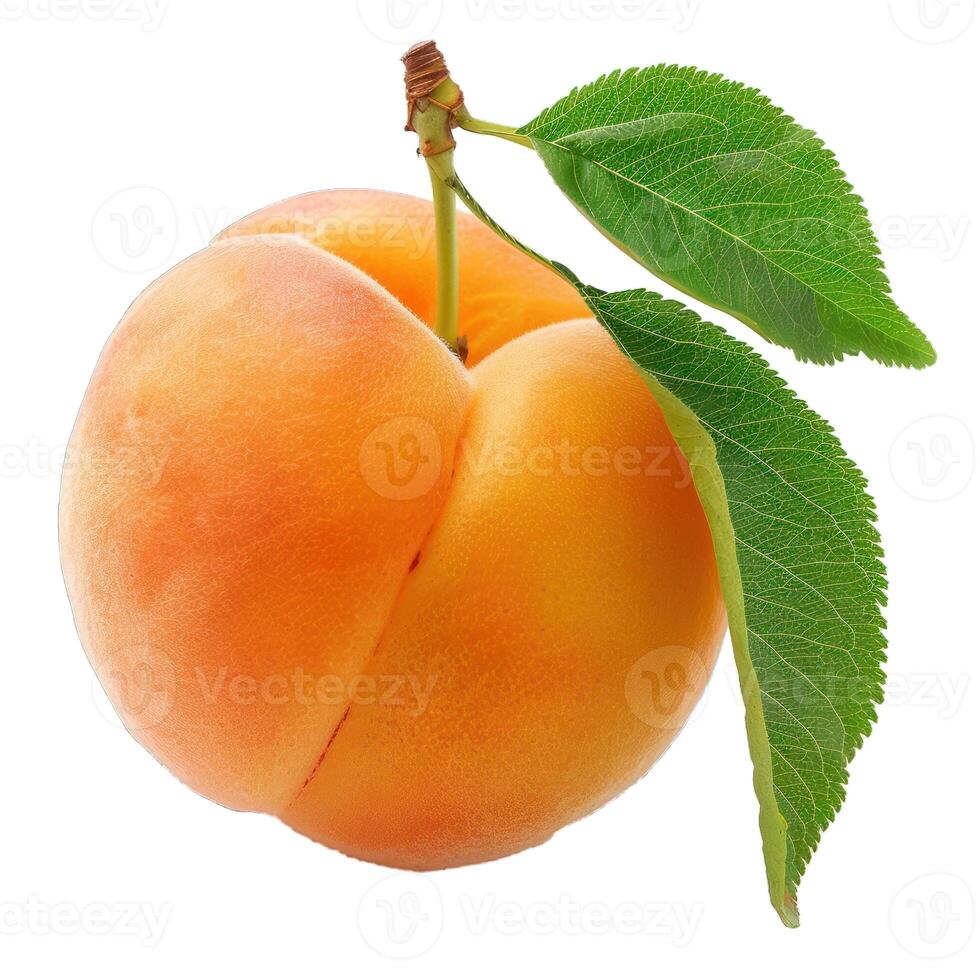 Fresh peach with leaf on transparent background photo