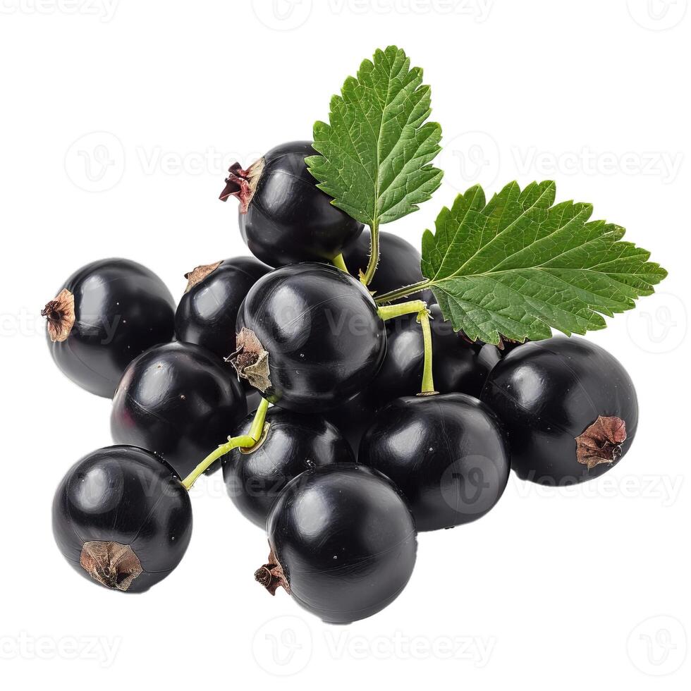 Fresh black currants with leaf isolated on transparent background photo
