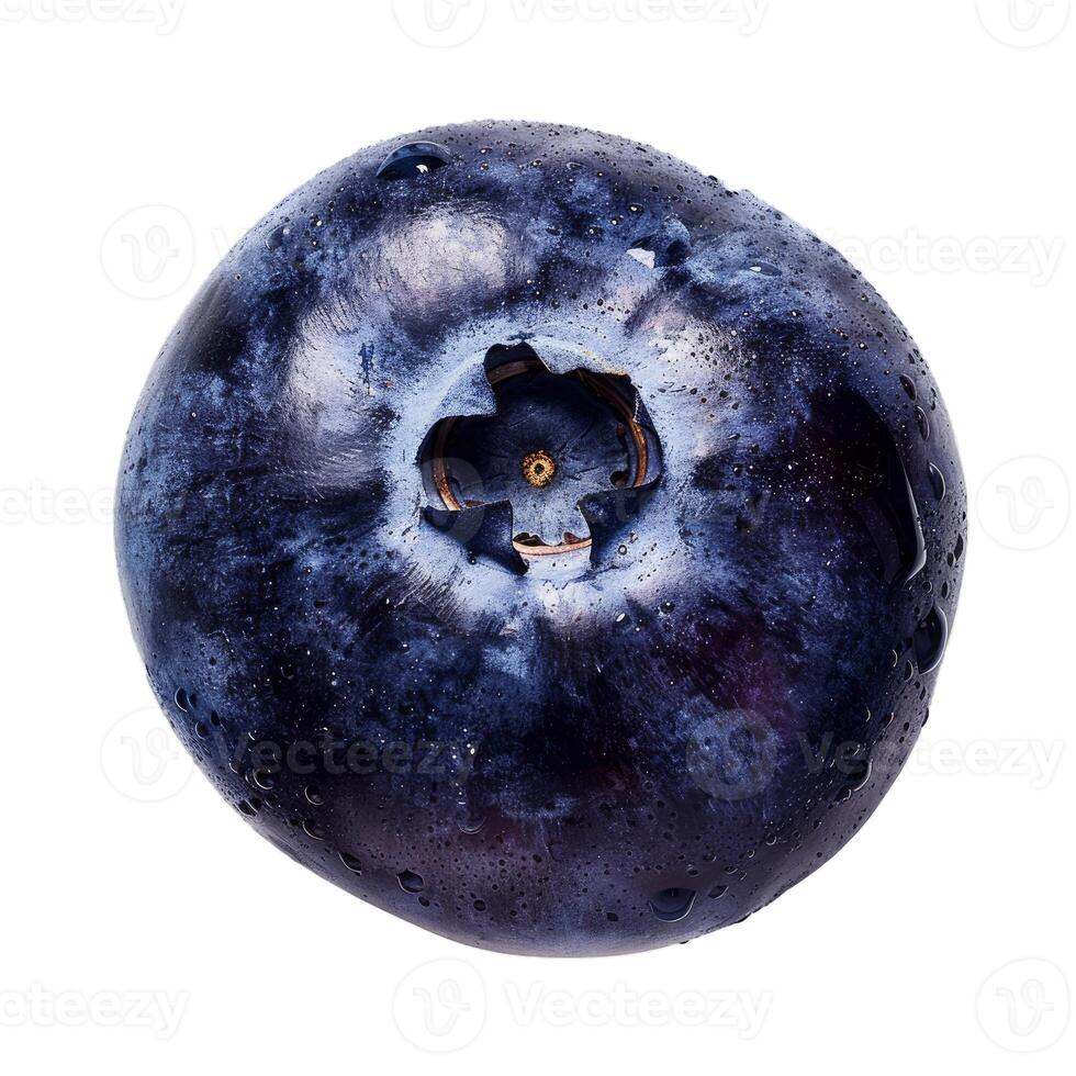 Single fresh blueberry with water droplets isolated on white photo