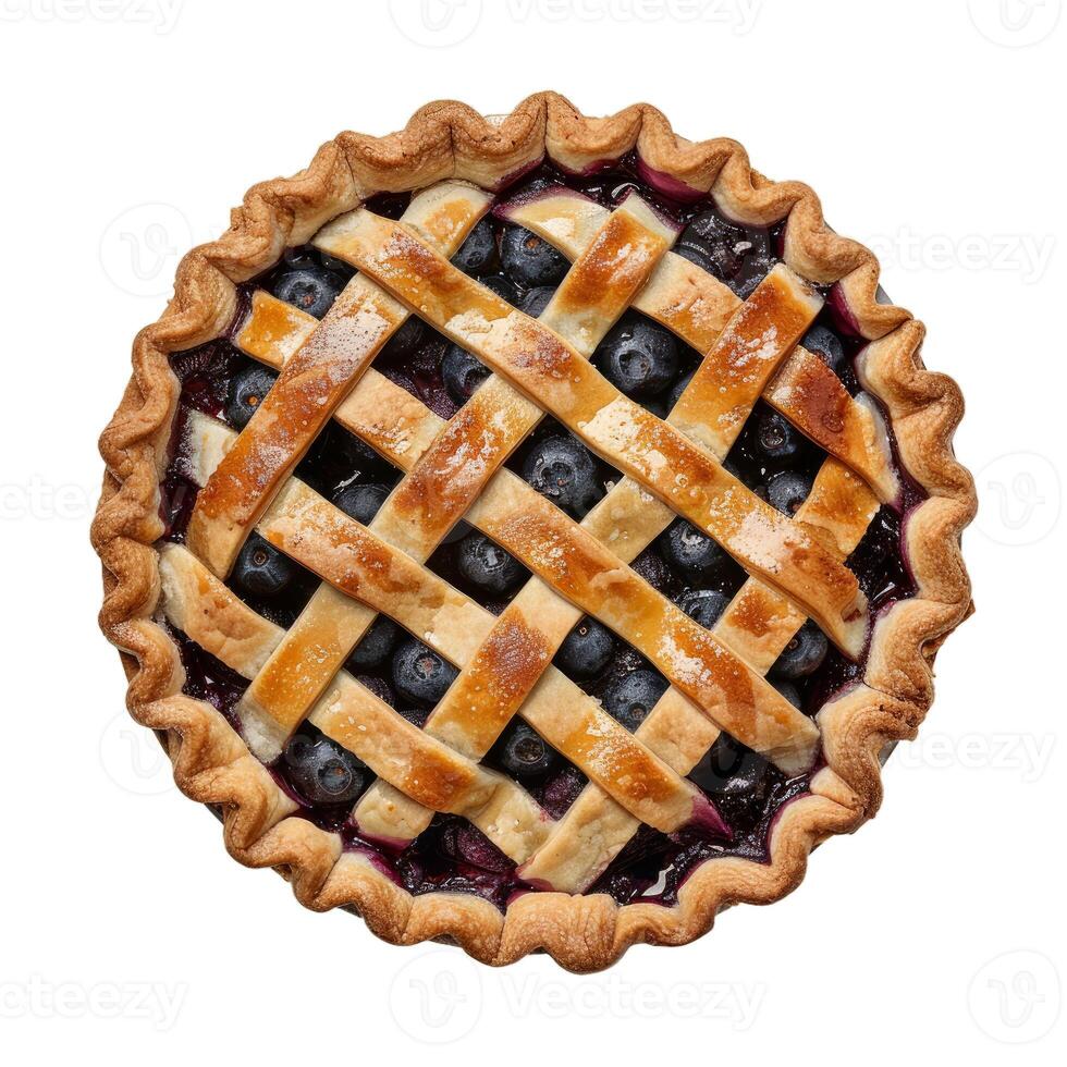 Fresh blueberry pie on transparent background photo