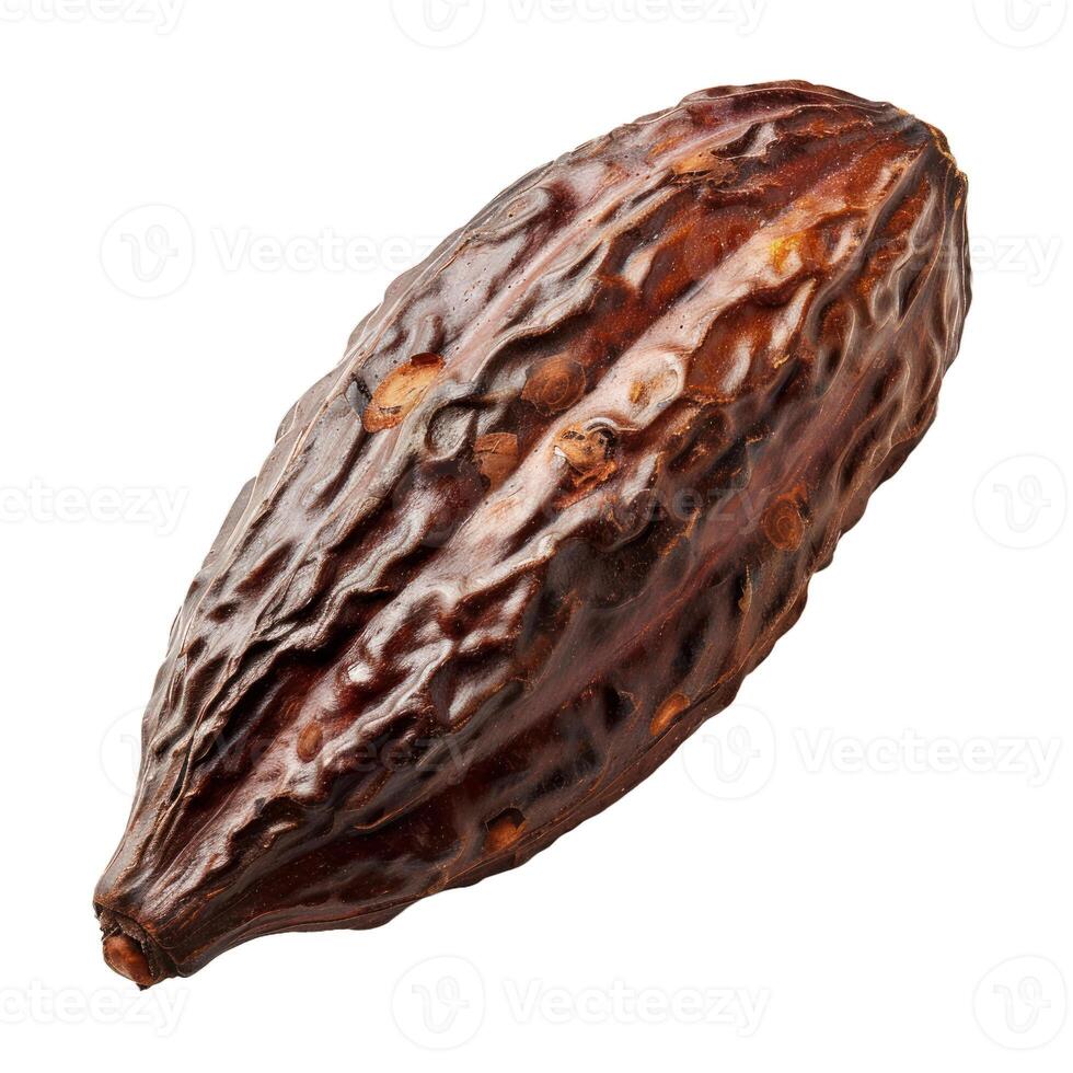 One dried cocoa pod isolated on white background photo