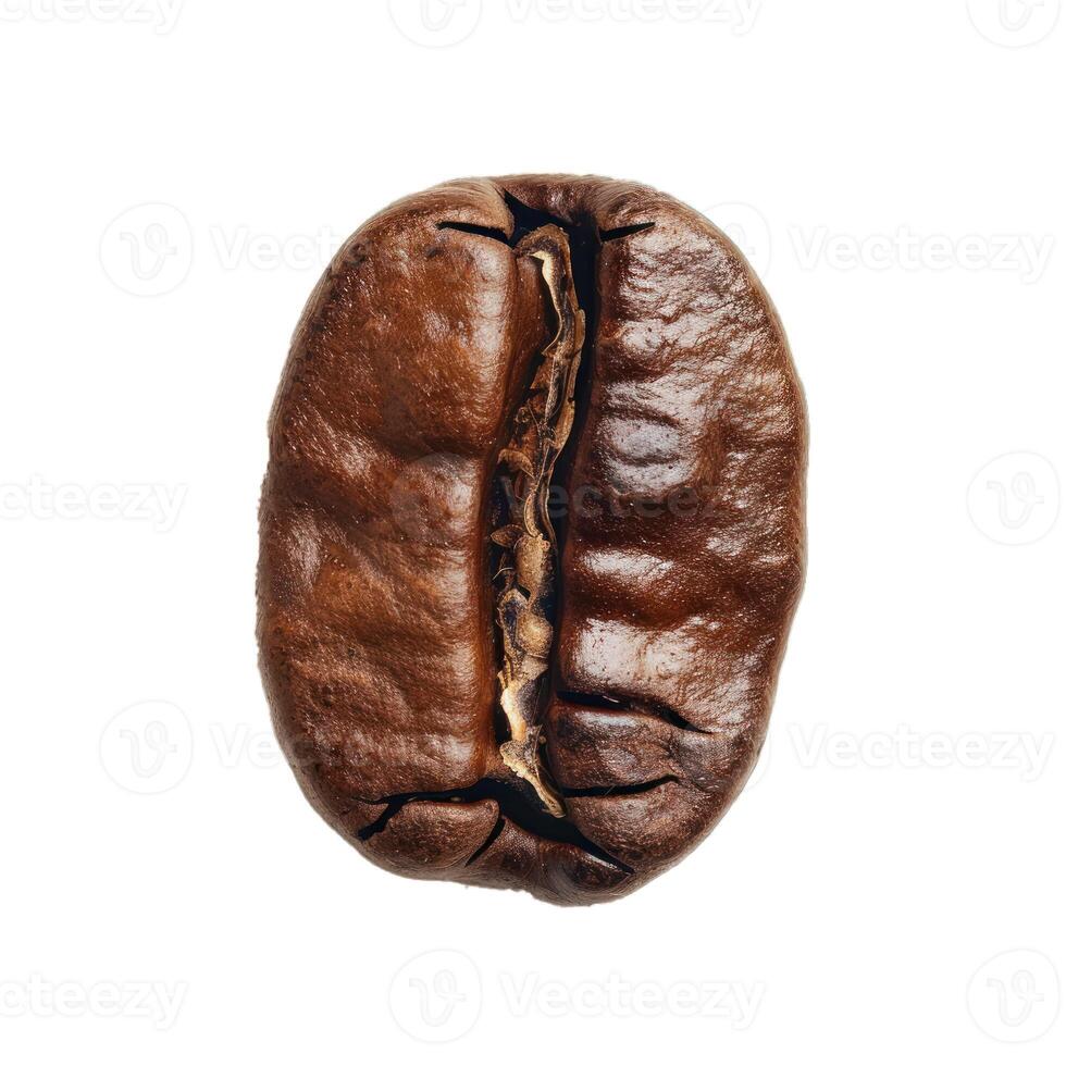 Single roasted coffee bean showing texture on white background photo