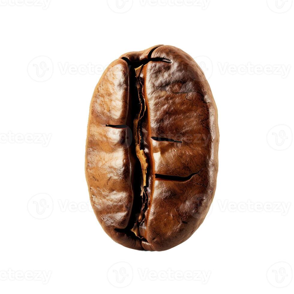 Roasted coffee bean showing texture and detail on white background photo