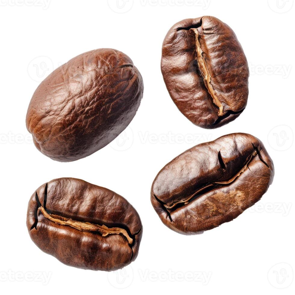 Roasted coffee beans falling through the air photo