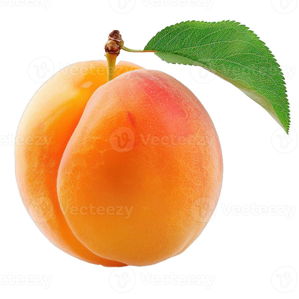 Ripe apricot with a green leaf, isolated on white photo
