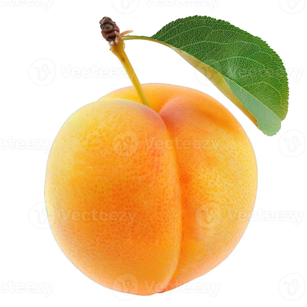 Fresh ripe apricot with leaf isolated on white background photo