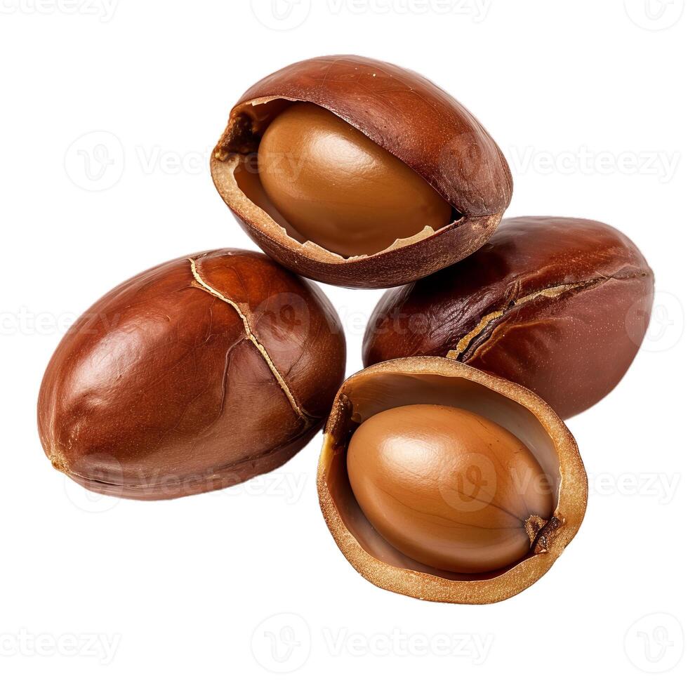 Argan nuts showing cracked seeds on white background photo